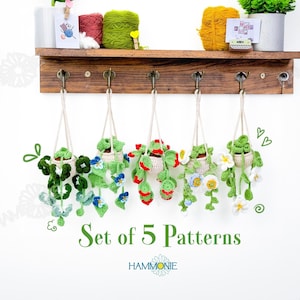 May include: Set of 5 crochet patterns for hanging plant pots. The patterns feature different types of plants, including a strawberry plant, a flower plant, and a leafy plant. The patterns are available for download and can be used to create your own crocheted hanging plant pots.