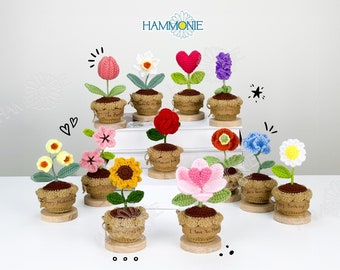Pot de fleurs personnalisé au crochet, cadeau plante multi-fleurs tricotée avec étiquette personnalisée faite main, cadeaux parfaits pour maman/obtention du diplôme/fête des mères