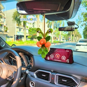 May include: A crocheted green and orange snail hanging from the rear view mirror of a car. The snail has two large eyes and a long, curled tail. The car's dashboard is visible in the background.