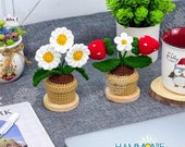 Gehkelte Topfpflanze, handgefertigtes Gnseblmchen und Erdbeere - Etsy.de
