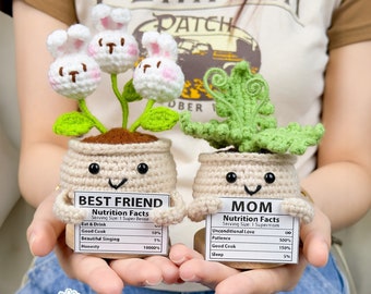 Personalized Crochet Plant Decoration: Handmade Knitted Potted Flower with Custom Tag