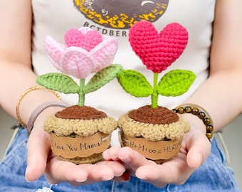 Handgemaakte gehaakte tulp & hart bloempot thuis tafel decor met aangepaste tag, gepersonaliseerde potplant, gebreide plant cadeau voor moeder/collega's