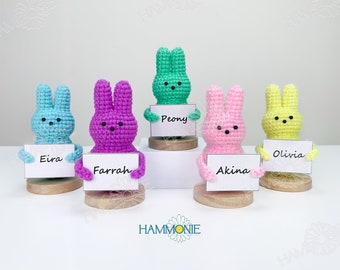 Pascua de conejito de ganchillo personalizada, regalo de Pascua de ganchillo con nombre personalizado, decoración del hogar del conejo de ganchillo, regalo de Pascua de conejito personalizado