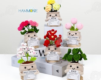 Crochet Plant Pot Decor, Handmade Amigurumi Succulent, Mom Gift, Nutrition Facts Design