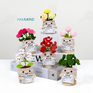 May include: Six crocheted plant pots with different coloured flowers and faces. Each pot has a label with the words "Mom" or "Best Friend" and a nutrition facts label.