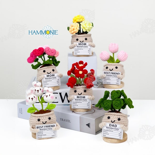 Gepersonaliseerde gehaakte schattige bloemen plantenpot, gebreide multi bloemen home decor, aangepaste plant cadeau voor moeder/vader/oma/vrouw/man/zus