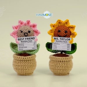 Personalized Crochet Sunflower Plant Pot Desk Decorations, Crochet Flower Pot Home Table Plant, Unique Handmade Plant Gifts for Teacher/Mom