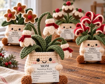 Personalized Crochet Christmas Quirky Amigurumi Flower Pot with Custom Nutrition Facts Tag, Handmade Holiday Desk Decor, Plant Lover Gift