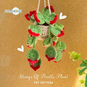 Puede incluir: Un patrón de crochet para una planta de perilla en forma de cuerda colgante. La planta es verde con bordes rojos y está en una maceta beige.