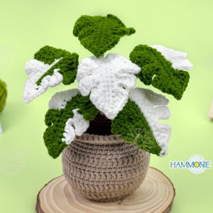 May include: Crocheted white and green plant with variegated leaves in a brown crocheted pot. The plant is sitting on a wooden base.
