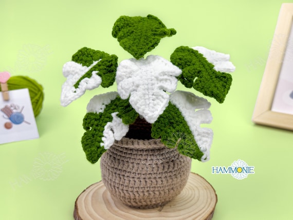 Crochet Monstera Albo Variegata: Handmade Plant Decor