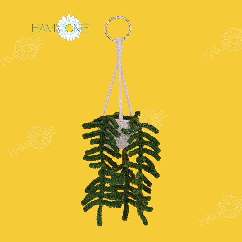 May include: A crocheted hanging planter with a white pot and green leafy plant. The planter is hanging from a metal ring.
