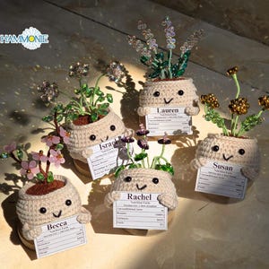 Suncatcher Blumentopf, personalisierte Kristallblumen Blumentopf, Sukkulenten Suncatcher Fensterdekor, Geschenk für Pflanzenliebhaber