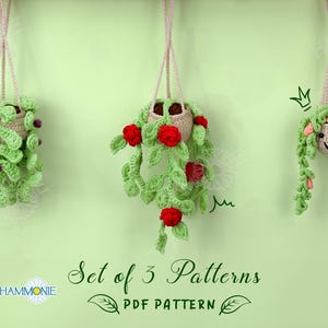 3 in 1 CROCHET PATTERN Bundle Succulent Plant Hanging, Crochet Pattern Flowers Pot, Easy PDF Crochet Pattern for Beginners Step by Step