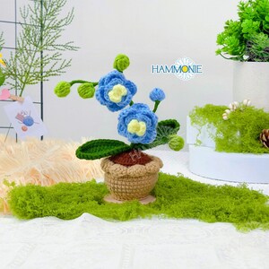 May include: A crocheted blue orchid plant in a brown crocheted pot. The plant is sitting on a green moss surface. The text "HAMMONIE" is visible in the background.
