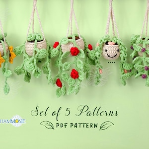 5 In 1 CROCHET PATTERN Bundle Plant Hanging, Flowers Pot Crochet Pattern, Pdf Crochet Pattern for Beginners with Video Tutorial Step by Step