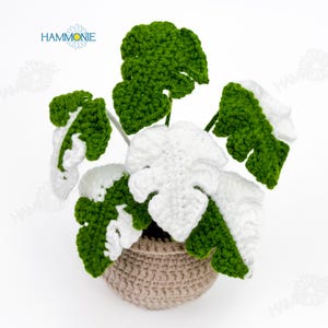 May include: A crocheted plant with white and green leaves in a brown crocheted pot. The plant is a monstera deliciosa.