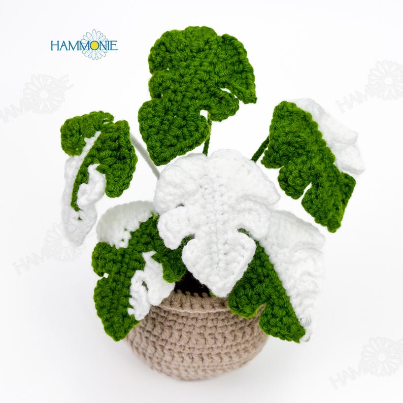 May include: A crocheted plant with white and green leaves in a brown crocheted pot. The plant is a monstera deliciosa.