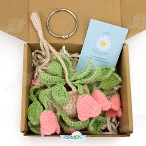 Op de afbeelding: Een gehaakte hangplant met roze bloemen en groene bladeren in een bruine doos met een witte kaart waarop staat "Handmade HAMMONIE www.hammonie.com facebook.com/hammonie.co"