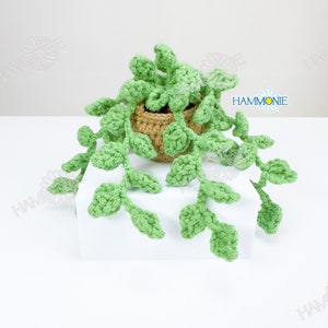 Motif végétal au crochet Monstera, chapelet de perles, motif végétal au crochet, accessoires de voiture, motifs faciles pour débutants, plante au crochet image 6