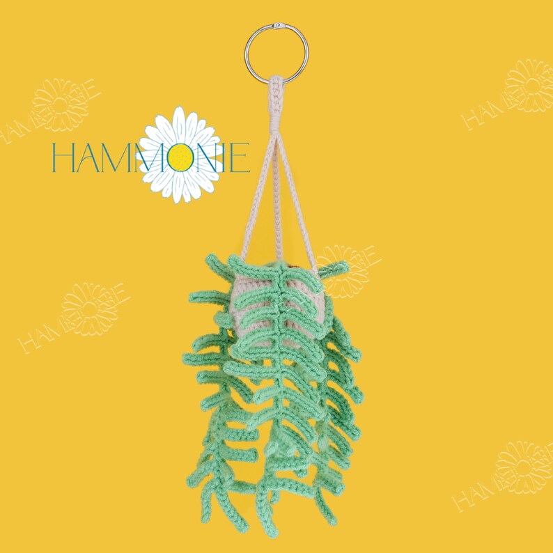 May include: A green crocheted hanging plant with a cream colored pot. The plant is hanging from a cream colored rope with a silver ring at the top.