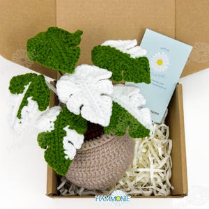 May include: A crocheted white and green monstera plant in a brown pot, packaged in a brown box with white shredded paper. The box has a small card with the text "Hammonie" on it.