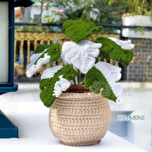 May include: A crocheted plant with white and green leaves in a beige crocheted pot. The plant is sitting on a white surface.