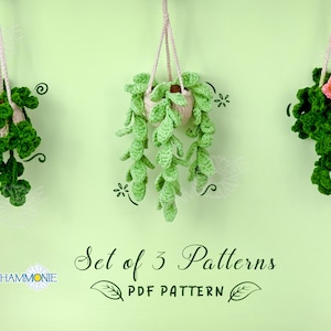 3 in 1 SCHEMA ALL&#39;UNCINETTO Bundle Fiori Pianta in vaso Appesa, Schema all&#39;uncinetto Pianta grassa, Schema all&#39;uncinetto in PDF per principianti passo dopo passo