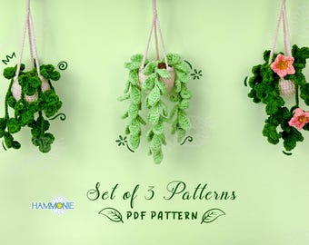 Crochet Plant Pattern Bundle: Succulent & Flower Pot (PDF Pattern)