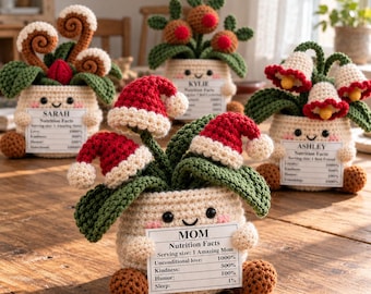 Personalized Christmas Crochet Flower Pot with Custom Nutrition Facts Tag, Handmade Desk Decor