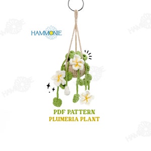 May include: A crochet pattern for a hanging plumeria plant. The pattern includes instructions for crocheting the plant, pot, and hanging loop. The pattern is available as a PDF download.
