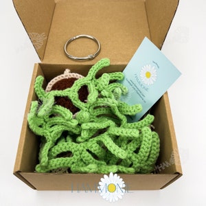 May include: A brown cardboard box with a green crocheted plant inside. The box is open and the plant is visible. The plant is made of yarn and is shaped like a bush. The box has a white label with the text "HAMMONIE" on it.