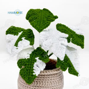 May include: A crocheted plant with green and white leaves in a brown crocheted pot. The plant is a realistic representation of a Monstera Deliciosa.
