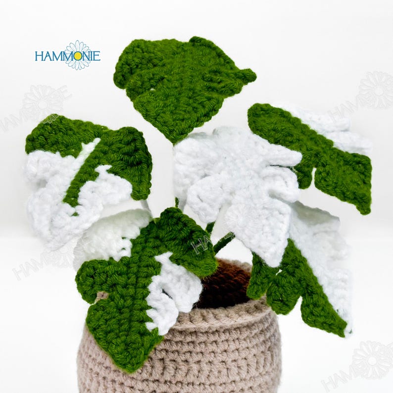 May include: A crocheted plant with green and white leaves in a brown crocheted pot. The plant is a realistic representation of a Monstera Deliciosa.