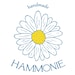 Hammonie store logo