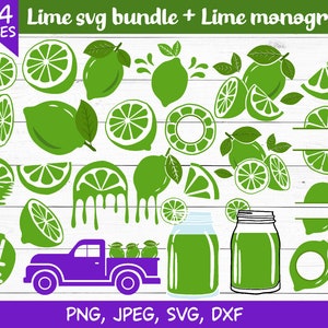 Pacote Lime Svg, Limonada svg, limão svg, limonada svg, Limão, frutas cítricas, fatia de limão, pacote svg de limão, Cricut, arquivos de corte de silhueta