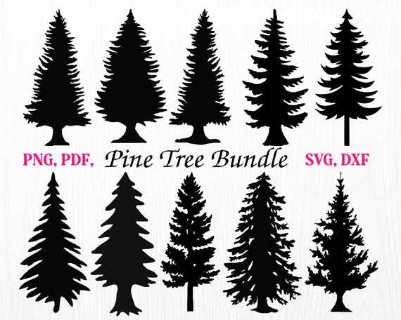 Pine Tree Svg Bundle Pine Tree Svg Tree Bundle Pine Tree - Etsy