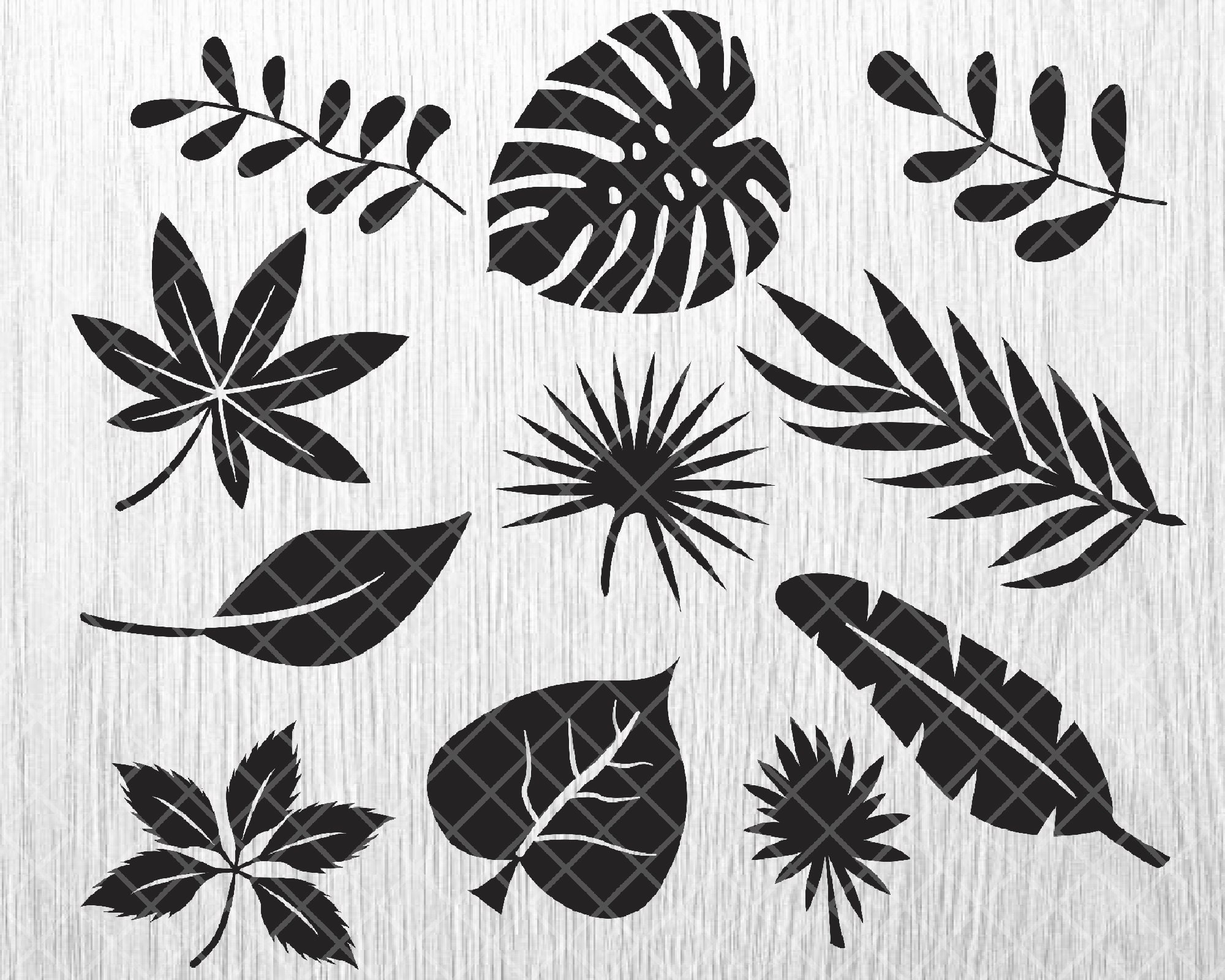 Tropical Leaves Svg Bundle, Tropical Leaf Svg, Monstera Leaf Svg, Palm ...