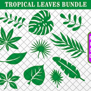 Tropical Leaves Svg Bundle, Tropical leaf svg, Monstera leaf svg, Palm leaf green branch Clipart png, Silhouette, Cricut, digital download