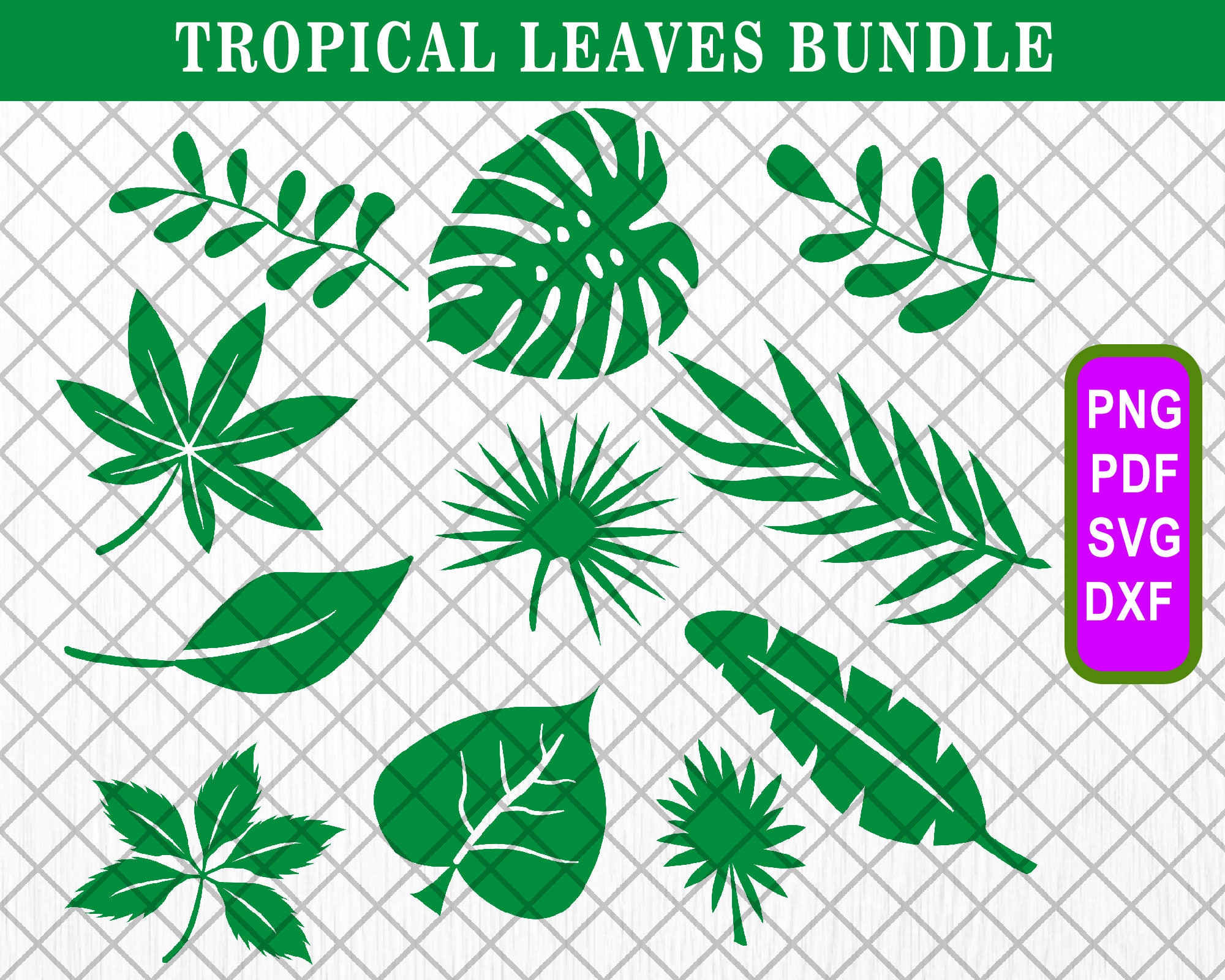 Tropical Leaves Svg Bundle, Tropical Leaf Svg, Monstera Leaf Svg, Palm ...
