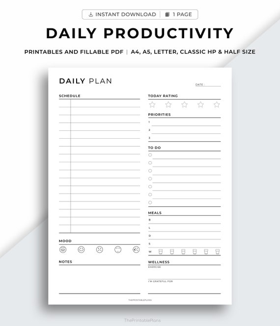 Daily Productivity Planner Printable, Daily Planner, Daily Schedule, Daily  Agenda, to Do List, Gratitude, A4/a5/letter/classic Hp/half Size 