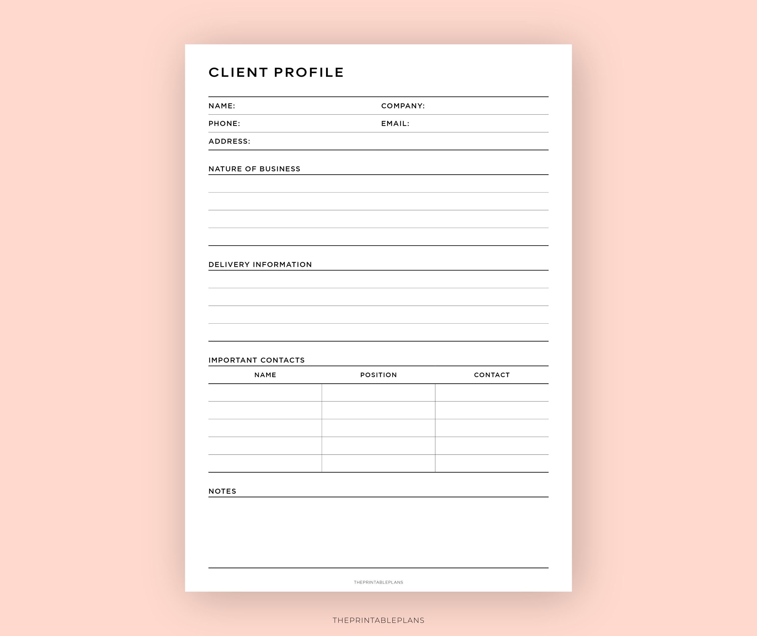 Client Summary Template Example Business Client Profile Template, Client Log, B2B Client Information ...