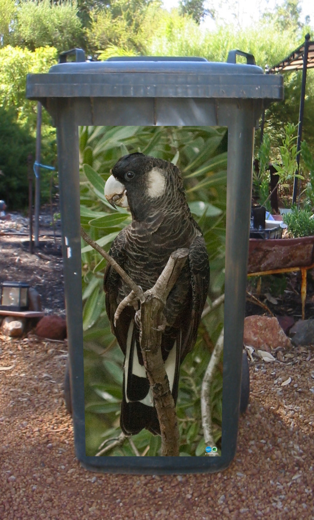 Carnaby Cockatoo Wheelie Bin Sticker Etsy Australia