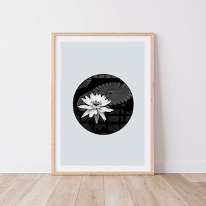 Fotografía de flor de loto, estampado de flores, fotografía en blanco y negro, fotos tranquilas, impresas profesionalmente, fotos originales
