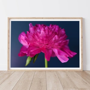 Pink Peony Print, Botanical Print, Flower Print, Peony Wall Art, Peonies Photography Print,Peony Print,Presents for girl,Flower Photography
