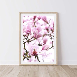 Magnolia Photograph, Botanical Wall Art, Neutral Prints, Magnolia Tree Print, Original Photograph, Professionally Printed
