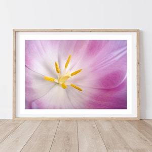 Tulip photograph, Tulips Print, Abstract Flowers, Tulip Flowers, Plant Print, Minimalist Print, Flower Photography, Floral prints, Wall Art