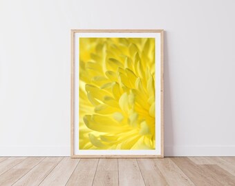Yellow Flower Print, Spring Flower Photograph, Sunshine Flower Photography, Professionally Printed, Original Photographs