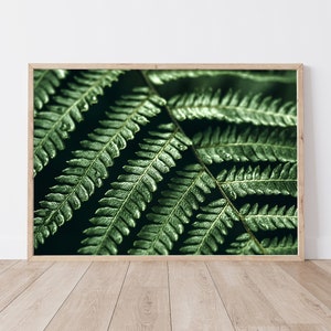 Green Fern Print