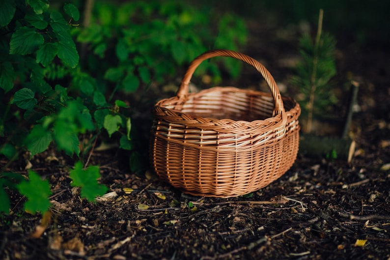 Wicker Willow Basket for Shopping, 100% handmade, big basket, multicolor, image 3